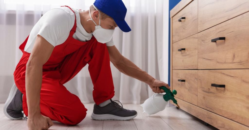 capa dedetizacao em Suzano